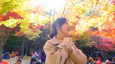 아 가을을 보내기 아쉽다~ 만추 낭만여행?     [헬로우 코리아] 275회