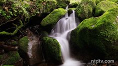 【音楽鑑賞】わたしは風　わたしは河