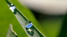 【音楽鑑賞】ピアノ「風が吹いて鈴が鳴っても心は動かない」