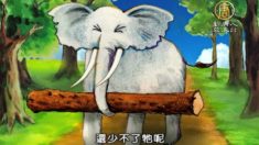 象の話ー穏やかな心と優しい気持ちを胸に