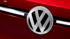 独ＶＷ監査役会、サル対象の排ガス実験巡り調査要求