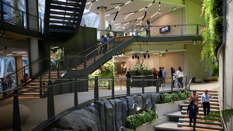 米アマゾン、熱帯雨林模したオフィスを新設 シアトル本社で