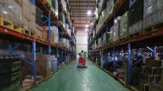 焦点：動き出す流通業界「生産性革命」、ＡＩとロボット連携に広がり