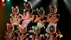 アイドル「仮想通貨少女」、仮想通貨での給与支払い継続求める