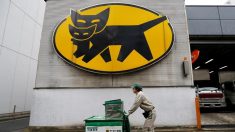 ヤマトＨＤ、今期業績予想を上方修正　アマゾンも1月から値上げ