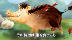 猪の話ー豚は賢くきれい好き？
