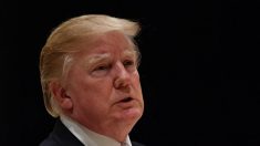 「金正恩氏と仲良し」? トランプ米大統領、「偽ニュース」とWSJを批判