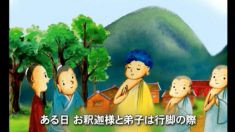 稲の話ー万物は知恵をそなえる