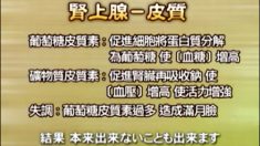 ムーンフェイス―尽きないドーピング
