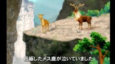 我の話ー争いのもとは「我」にあり