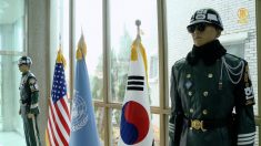 외국인이 가보고 싶은 국내 여행지 1위! 의외~ [헬로우 코리아] 278회