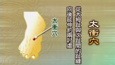 高血圧民間療法（一）