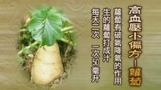 高血圧の民間療法（二）―高血圧には大根がお勧め