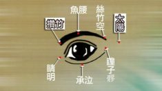 白内障―白内障への漢方の対処法とは？