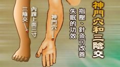 カルテ（九）―「火気（のぼせ）」を招く不眠