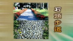 背を伸ばしたい―成長ホルモンのゴールデンタイム