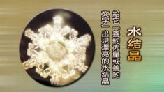 善のパワーこそ希望の源