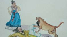 カルテ（十六）―パスツール発見前にワクチンは存在した？