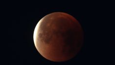 北米でも皆既月食、ハリウッド近くの天文台に観察者ら集う