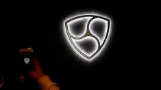 ＮＥＭ流出の犯人を追跡、換金阻止へ取引所と連携＝財団理事