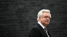 英ＥＵ離脱相、ブレグジット巡る経済予測は「全て間違い」