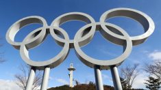 バチカン代表団、平昌五輪の開会式に参加へ