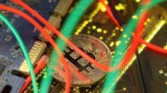 焦点：仮想通貨「みなし業者」の抜け穴、自主規制も機能せず