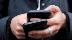 携帯電話の電磁波で雄ラットに腫瘍、米機関が関連性報告