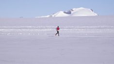 世界7大陸制覇のマラソン大会、7日かけマイアミでゴール