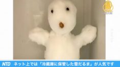 中国・アモイで37年ぶりの降雪