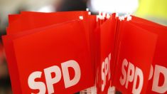 ドイツ社会民主党に犬の「リマ」入党、タブロイド紙が代理で申請