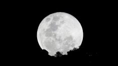 月面に初の携帯電話基地局、民間プロジェクトで来年設置へ