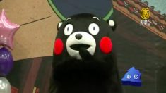 くまモンが台湾を公式訪問 熱烈歓迎される