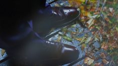 【ストーリー動画】「口は災いの元」余計な一言が生んだ災難