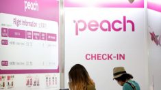 ピーチにバニラを統合、ＡＮＡ傘下のＬＣＣ　アジア中距離線で攻勢