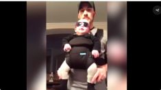 おもしろいベビー大集合