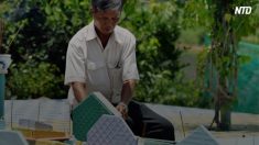 【命を考える】15年にわたり多くの胎児の命を救ったベトナム人