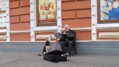 演奏に合わせて歌うワンちゃん