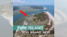 ハリケーン・イルマが残した贈り物