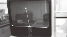 植物にも感情がある （二）