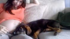 飼い主と子犬の心温まる会話