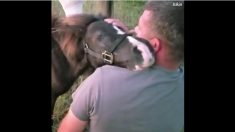 おもわず涙が・・・動物たちが人間に感謝する姿がジーンとくる