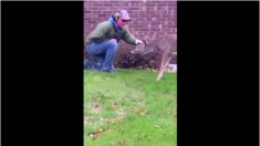 庭に鹿が現れたら、あなたはどうする？