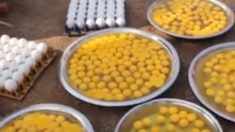 インドの老人が卵を1000個も買った理由は…