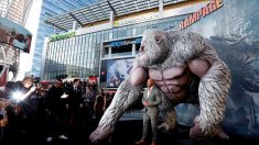 映画「ランペイジ 巨獣大乱闘」のプレミアにＤ・ジョンソン登場