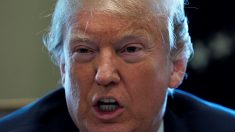 米大統領、シリアへの軍事対応排除せず　「48時間以内に決定」