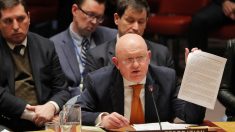 シリア化学兵器調査巡る安保理決議案、ロシアが拒否権行使