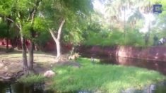 注意！ これは絶対にやってはいけません！