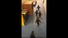 事務所の廊下を歩いているのは誰？