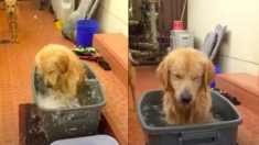 暑すぎる〜、プールに行きたい！